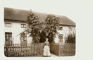 Senftenberg